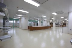 無(wú)塵凈化棚管理規(guī)范制度(整理版)